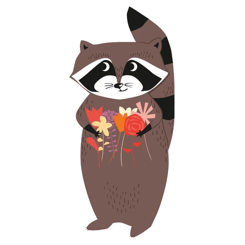 Racoon