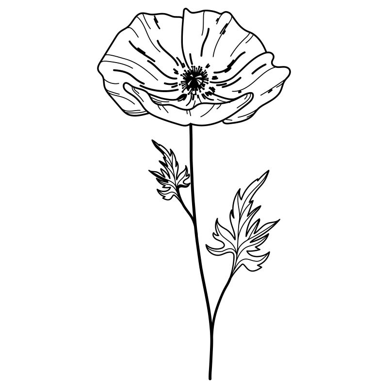 Fleur de coquelicot 13 Plan de travail 5