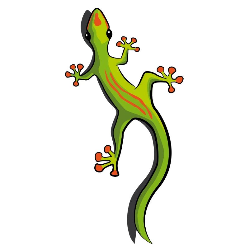 Gecko