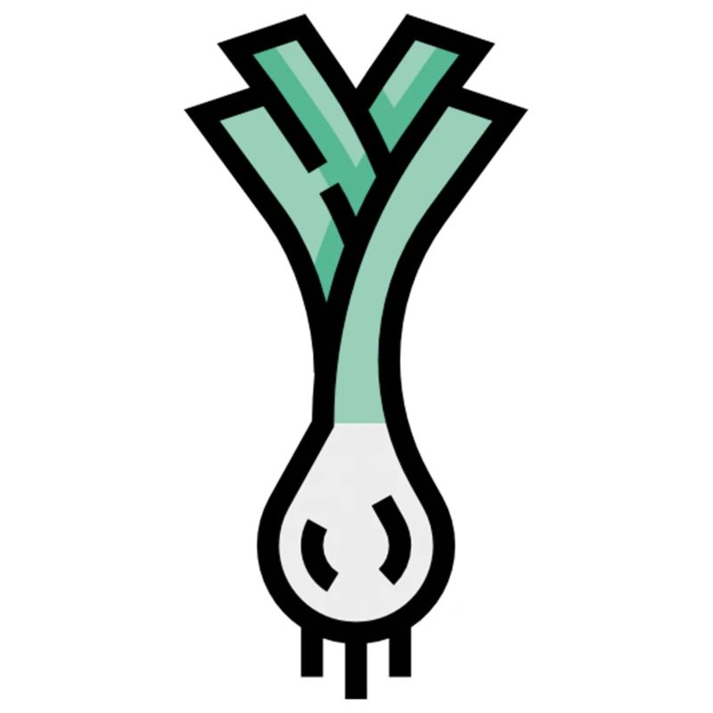 Lauch Icon