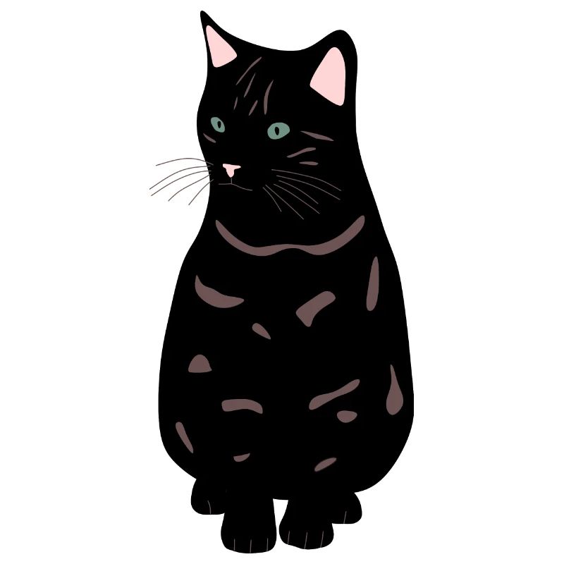 schwarze Katze