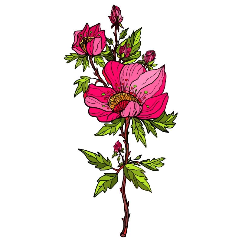 Blume