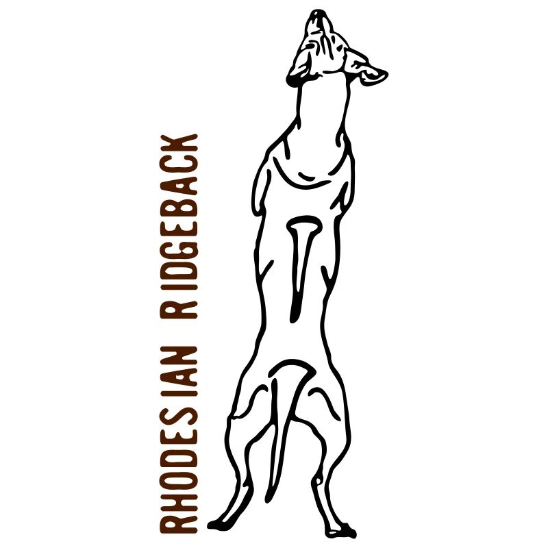 Rhodesian Ridgeback back