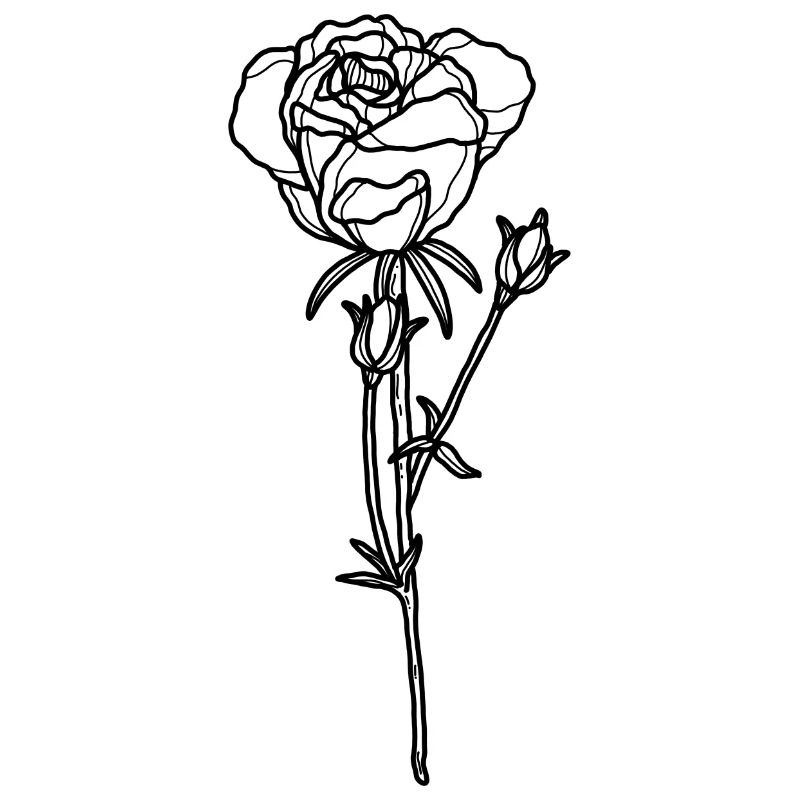 Blume Rose