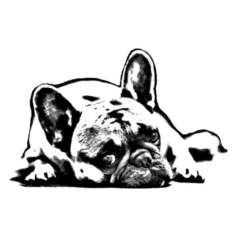 Mops pug dog