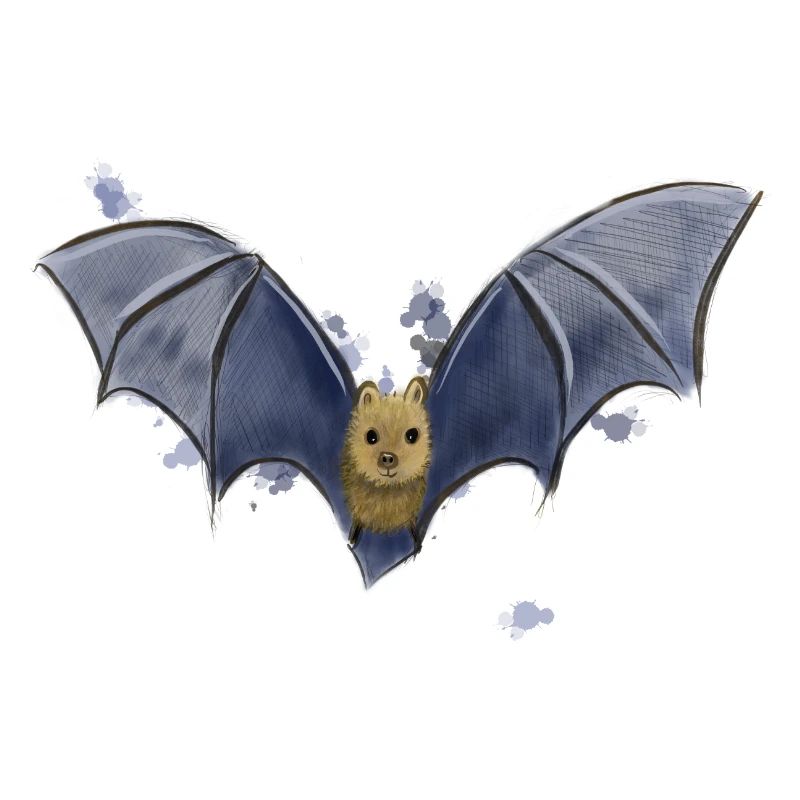 Fledermaus