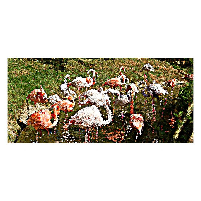 Flamingos