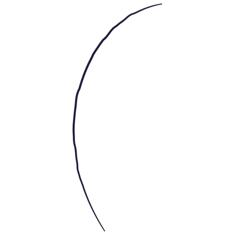 Conifer - line