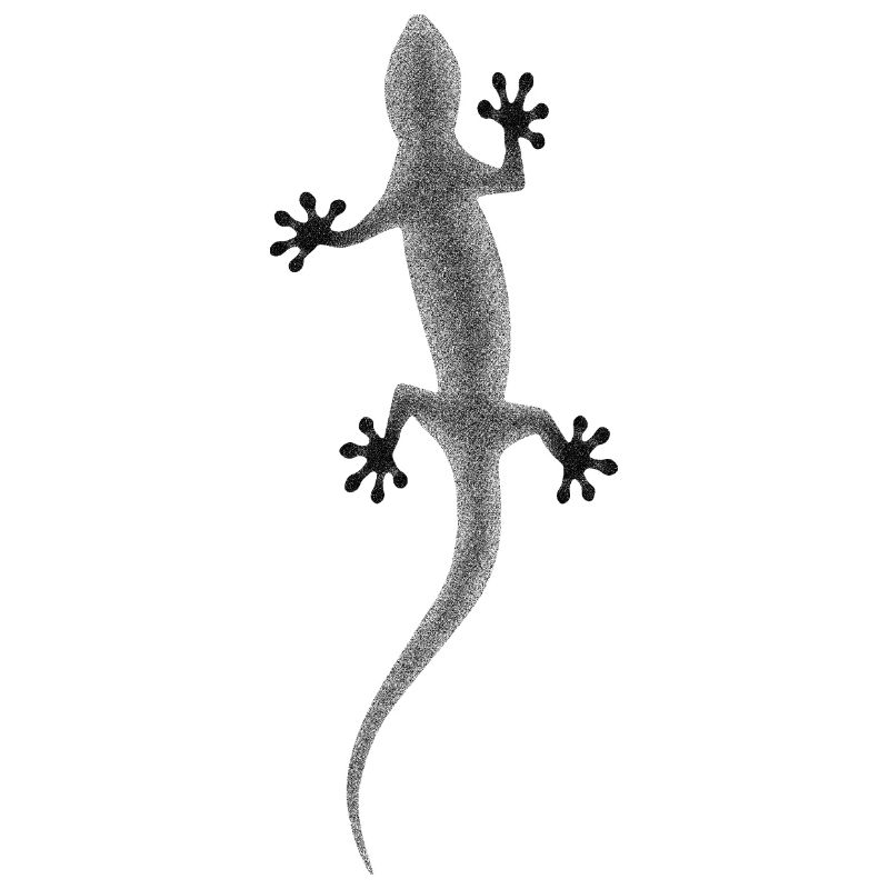 Gecko