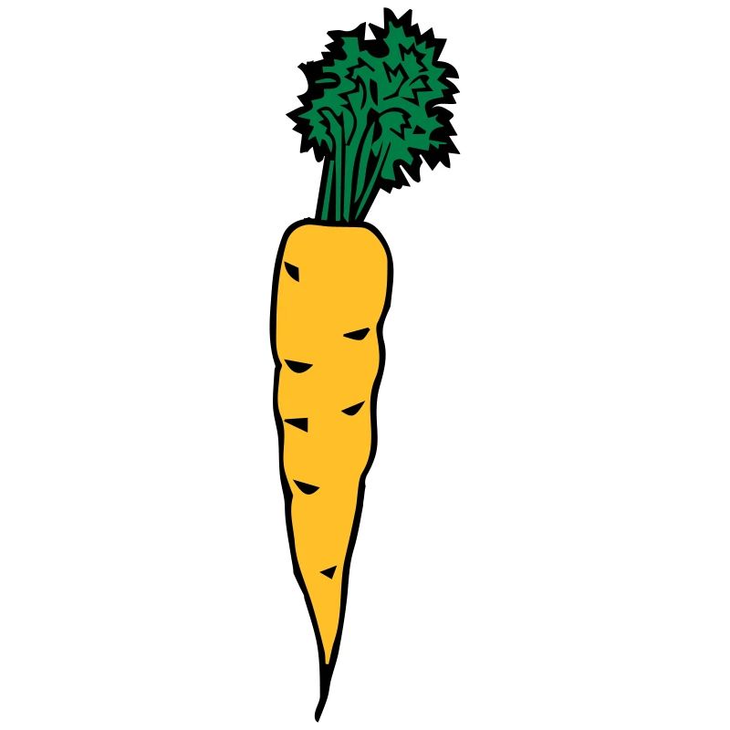 carrot