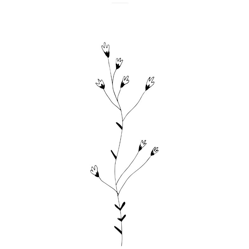 blume