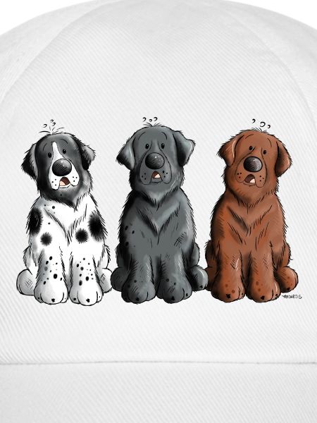 Three Newfoundland Dogs