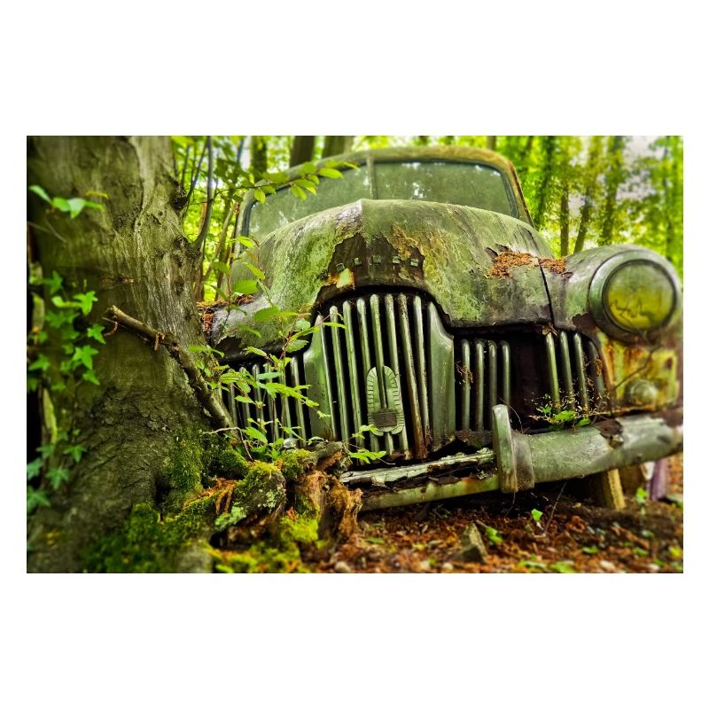 Waldverfall: Rostige Autoüberreste