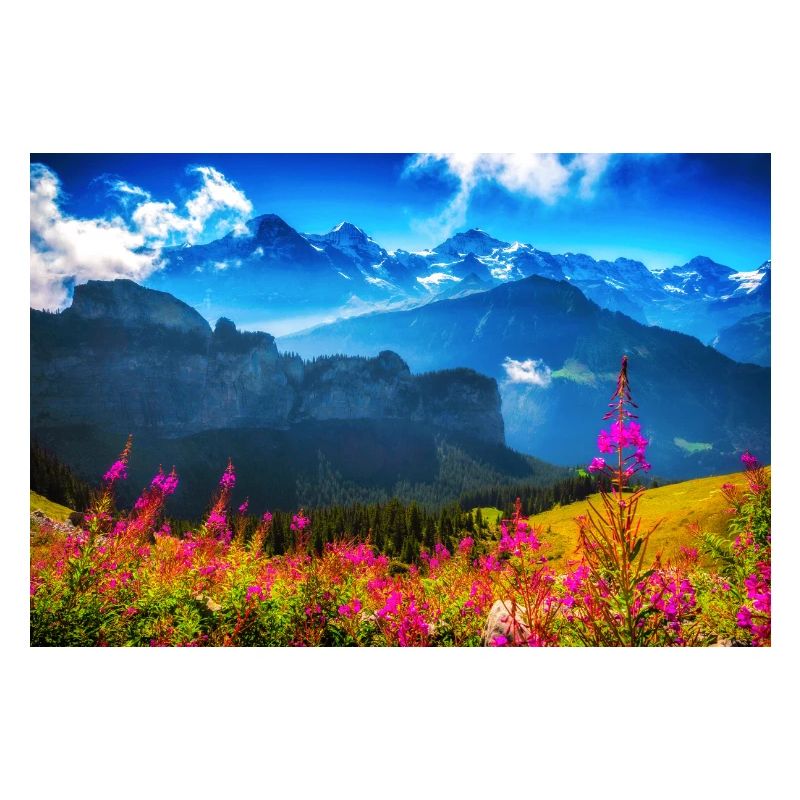 ALPES D’ÉTÉ
