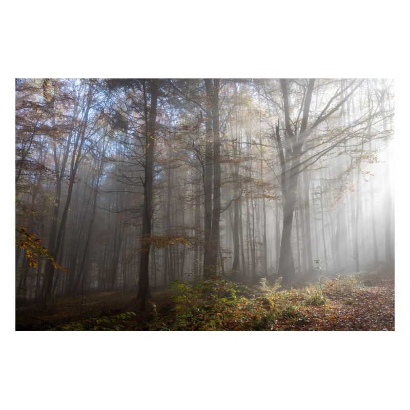 Herbststimmung