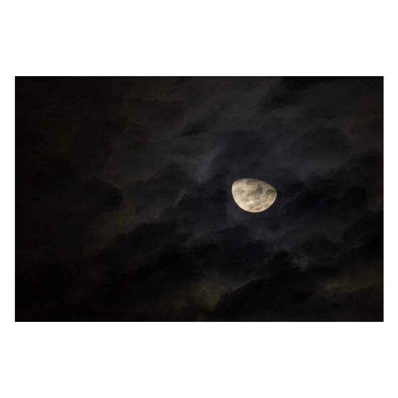 Mond