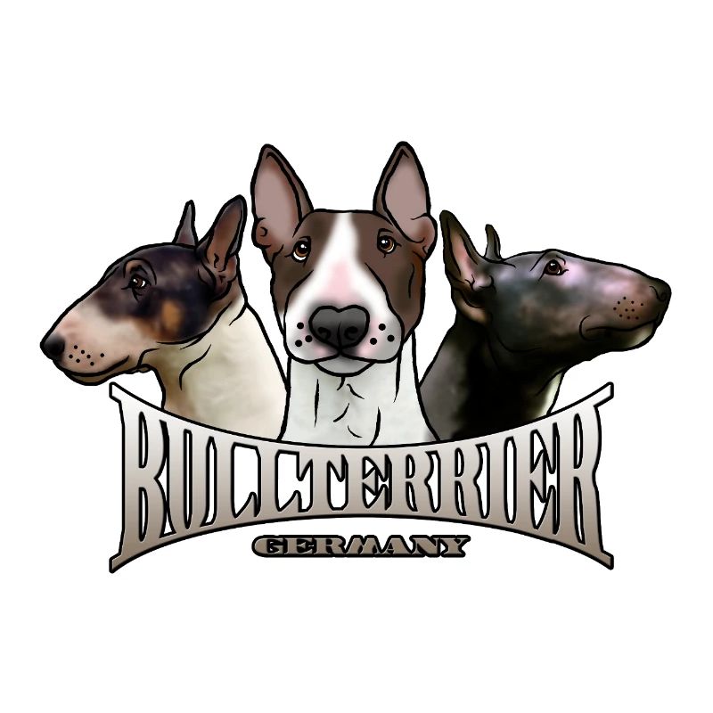 Trio de Bull Terrier avec lettrage