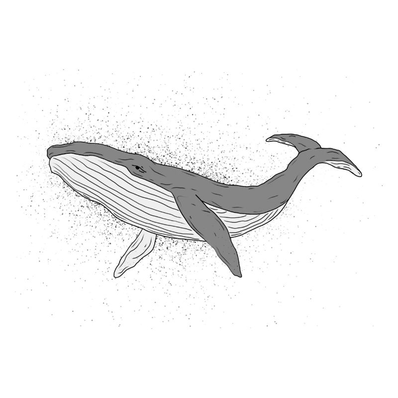 Sparkly whale