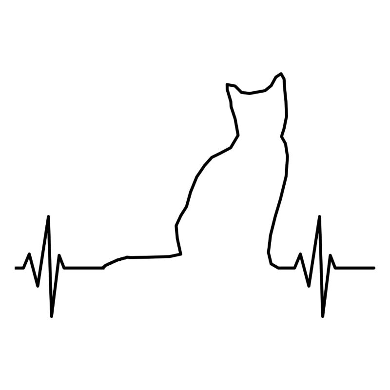 Cat ECG Black