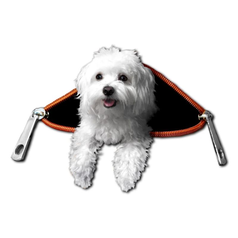 Maltese