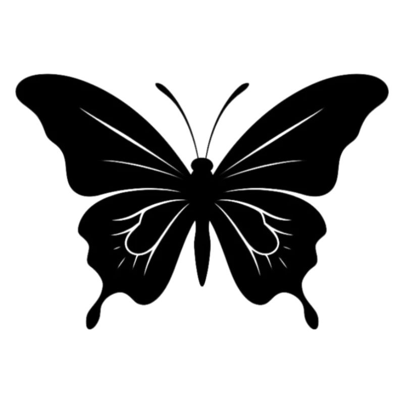 Papillon. papillon