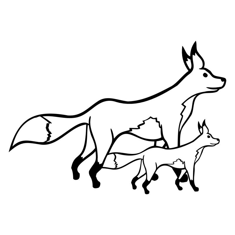 2 Füchse Mutter Rotfuchs Kleines Kind Vater Mama