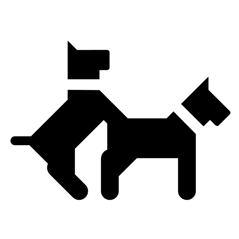 Baise des chiens