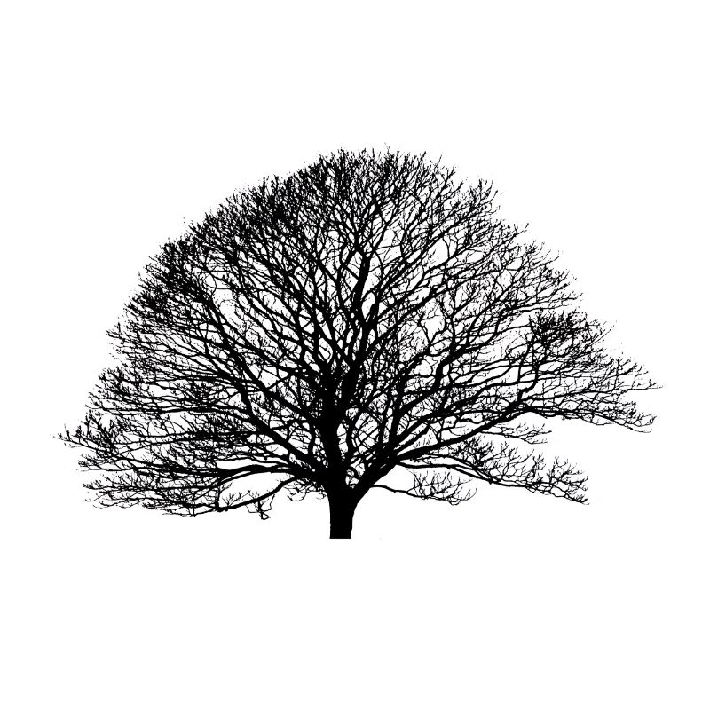 Shadow_no logo