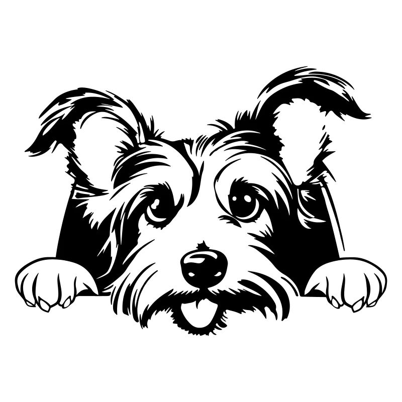 Kleiner Terrier