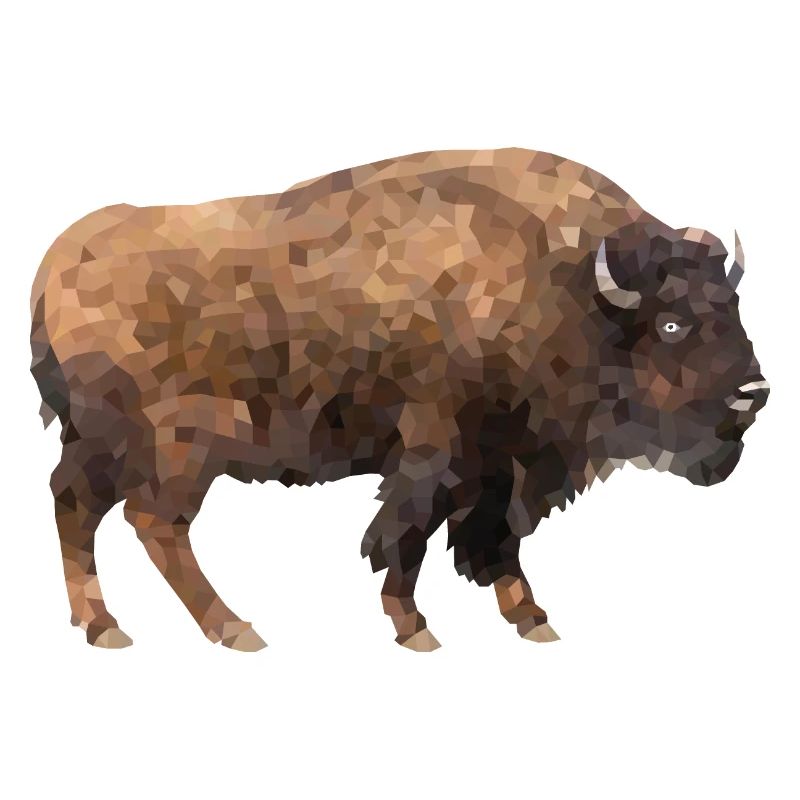 Bison