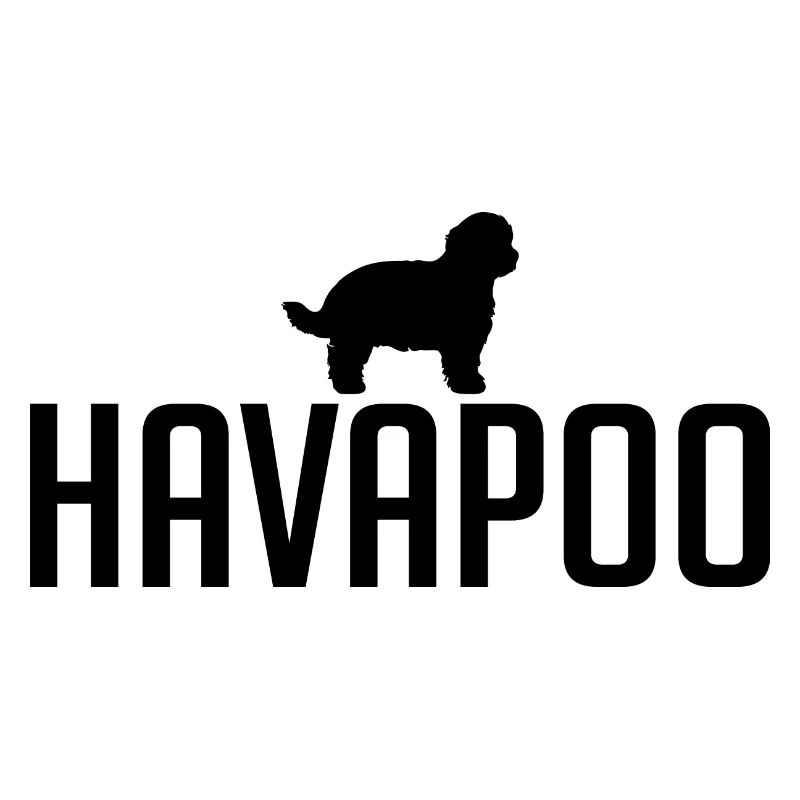 Havapoo Hunderasse Hunde Hund Wilsigns