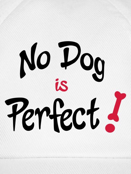 funny dog