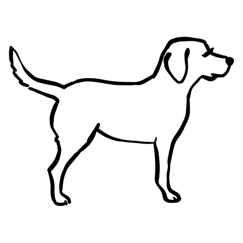 Labrador