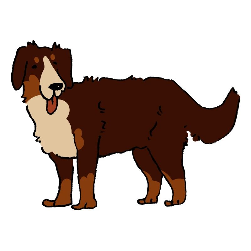 Berner Sennenhund