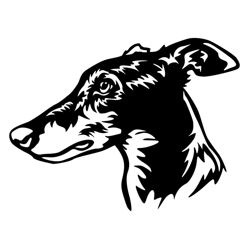Tête de lévrier