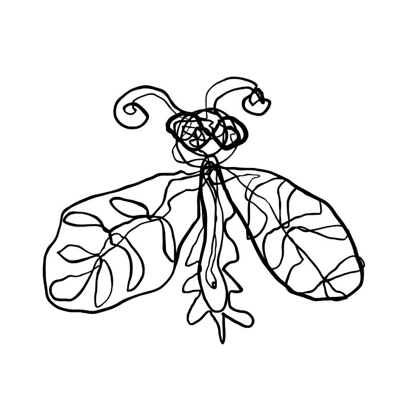 Insect