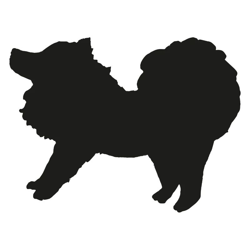 Spitz schwarz