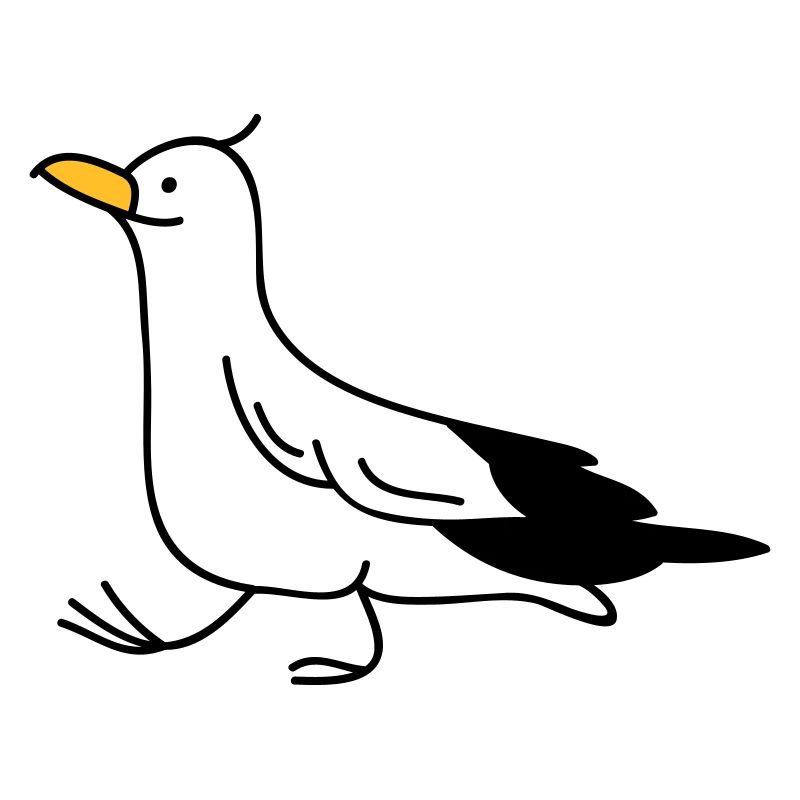 lustige Möwe