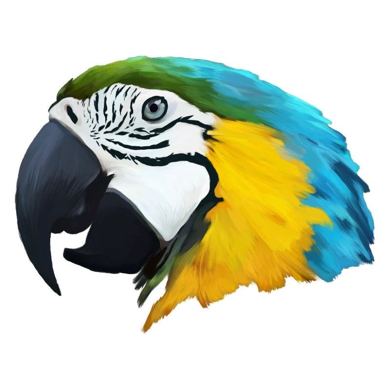 PAROT