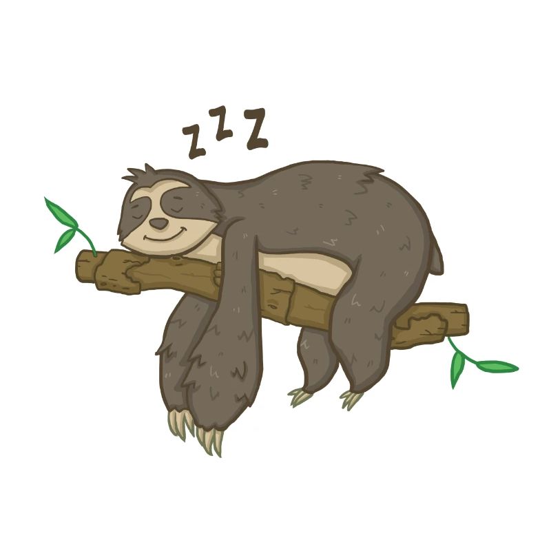 Faultier Schlafen Relax