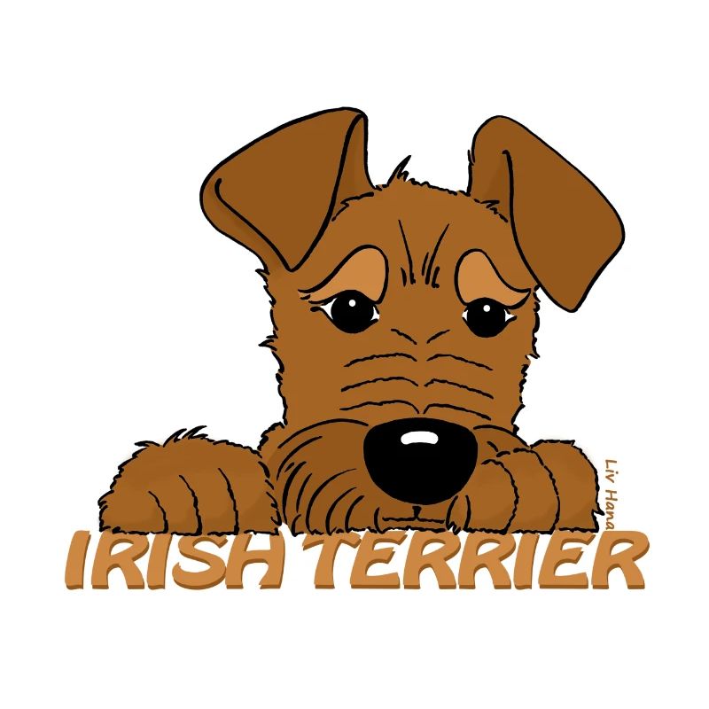 Irish Terrier Kopf