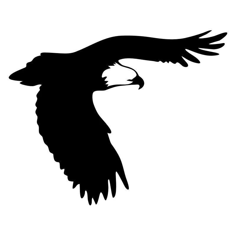 Adler im Flug