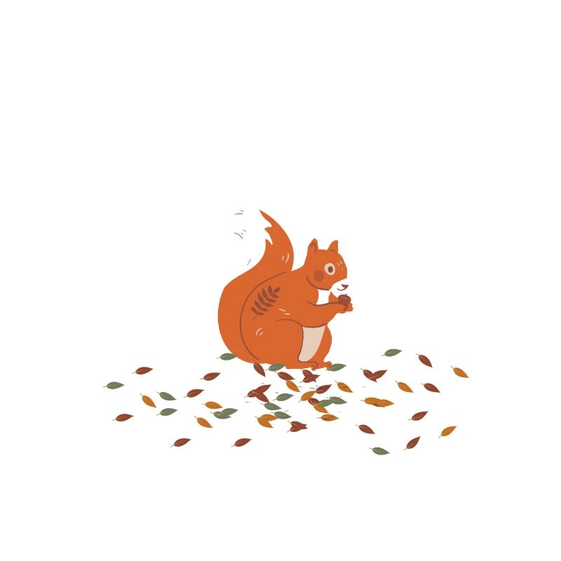 Eichhörnchen