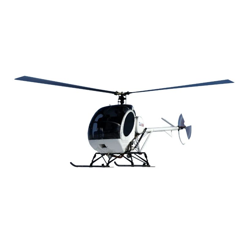 Schweizer 300