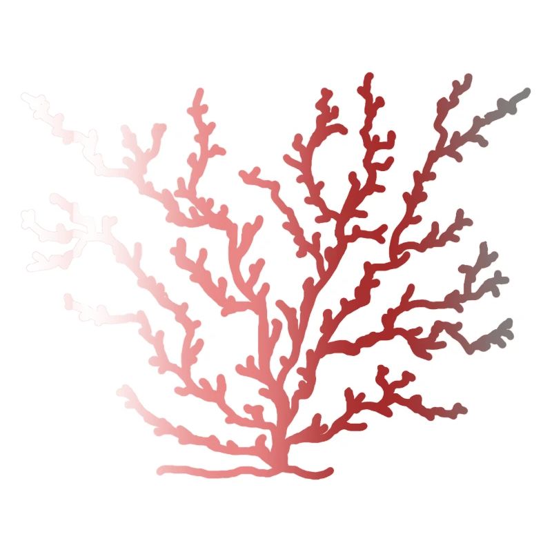 coralfantasy