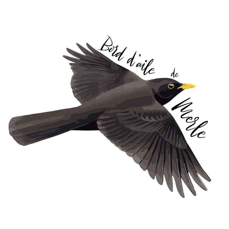 Blackbird's wing edge