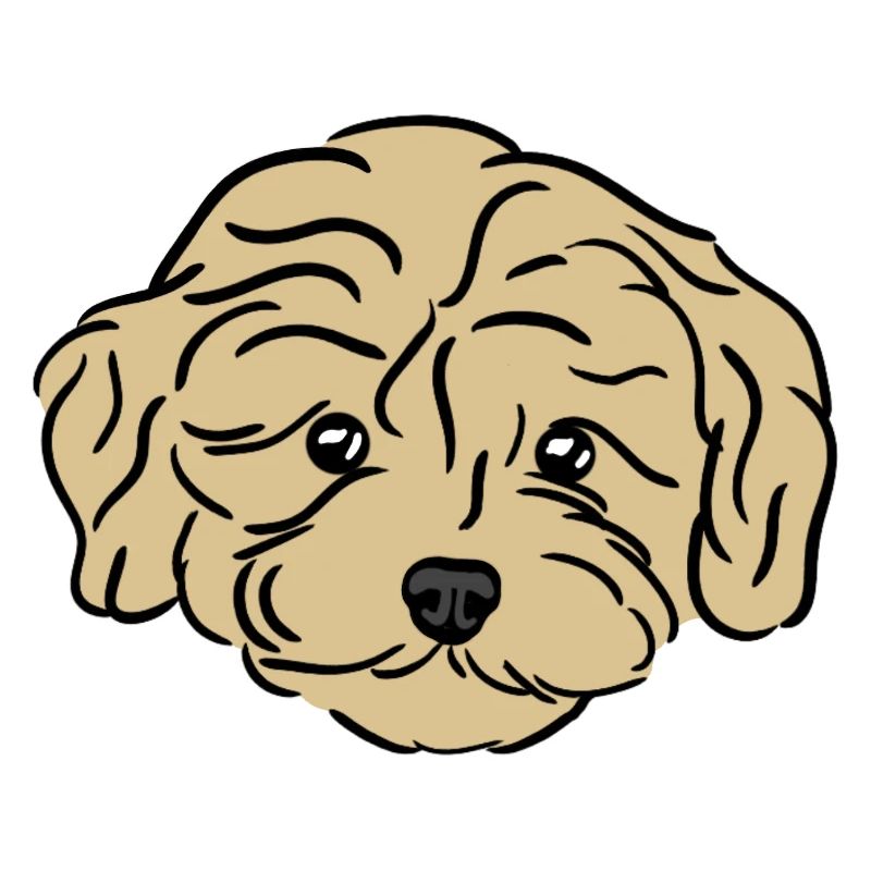 Chiot Doodle