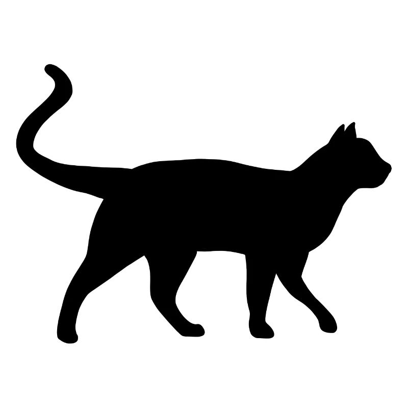 Katze