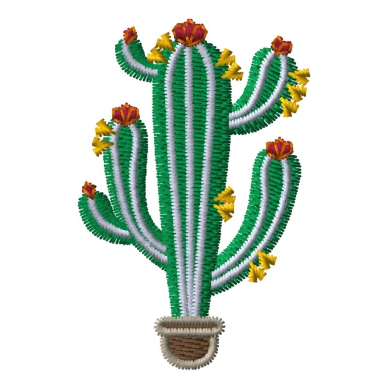 Cactus 1