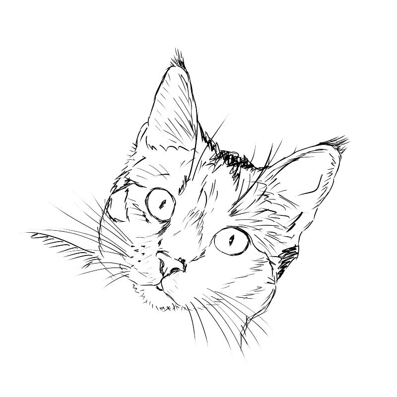chat